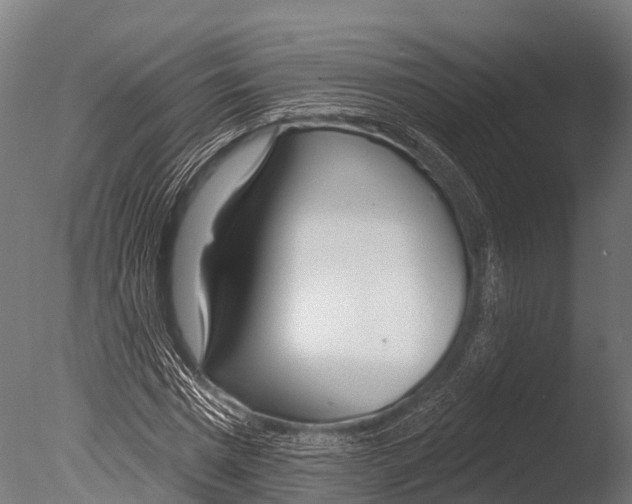 X0000085000777200704021333