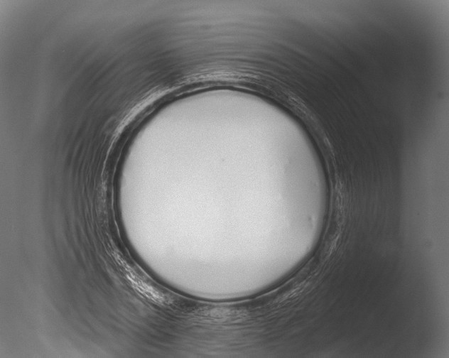 X0000085000779200704021332