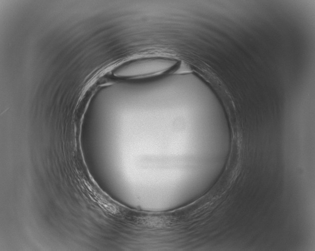 X0000085000781200704021332