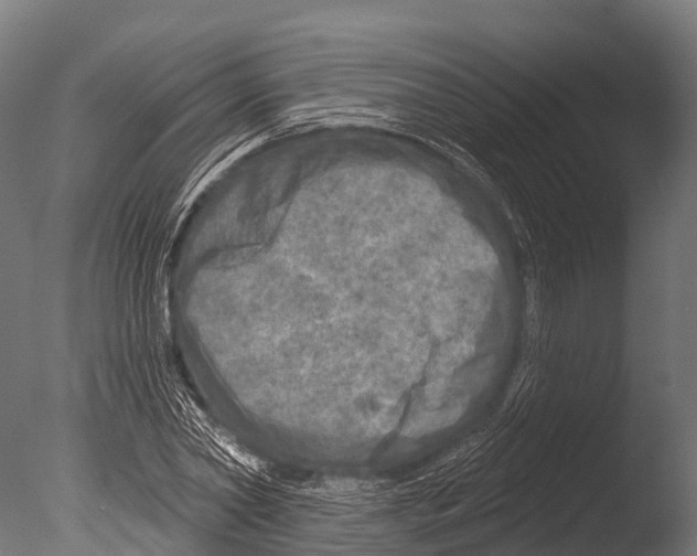 X0000085000782200704021332