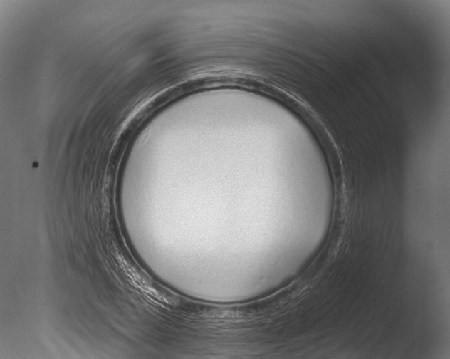 X0000085000783200704021332