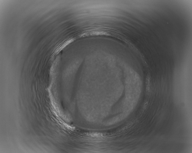 X0000085000785200704021332