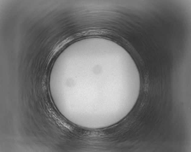 X0000085000786200704021332