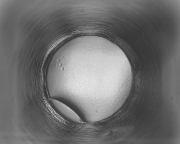 X0000085000787200704021332