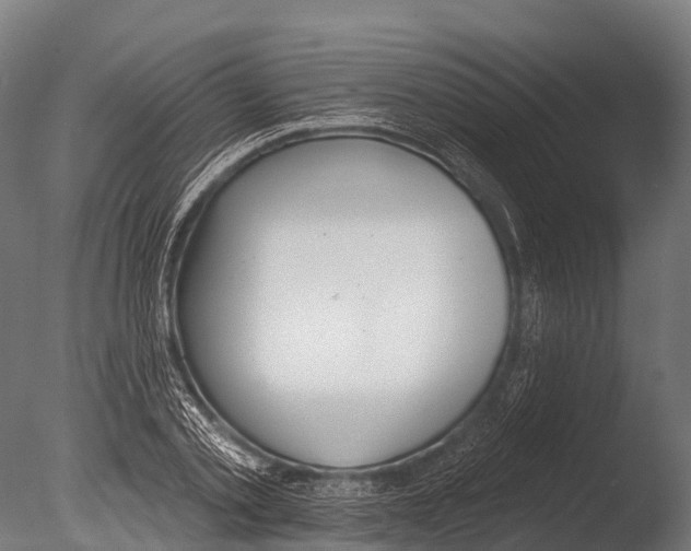 X0000085000789200704021332