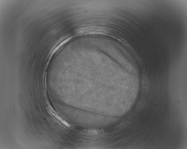 X0000085000790200704021332