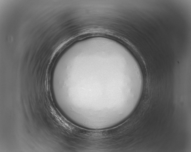 X0000085000791200704021332