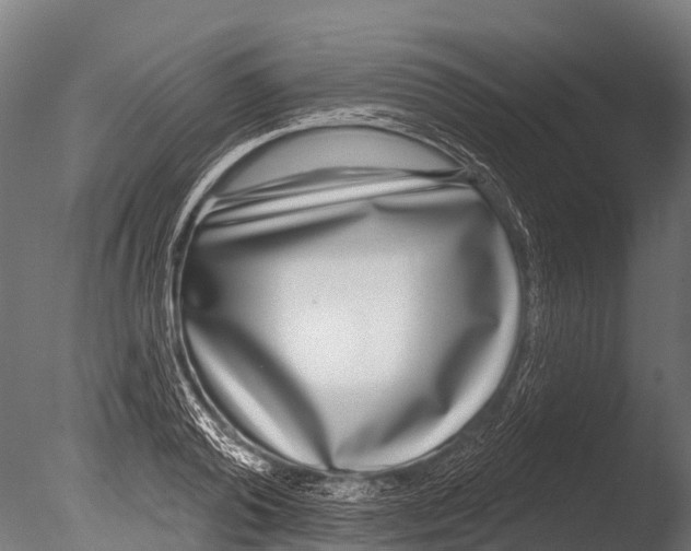 X0000085000792200704021332