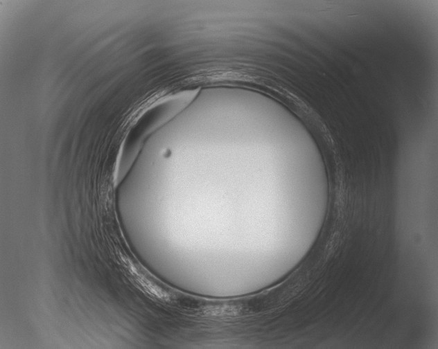 X0000085000793200704021332