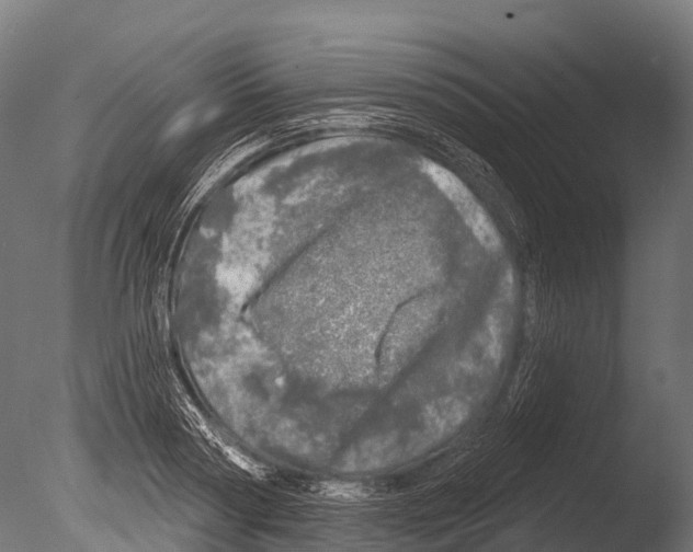 X0000085000794200704021332