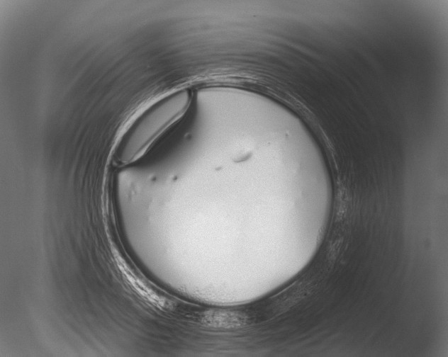 X0000085000795200704021332