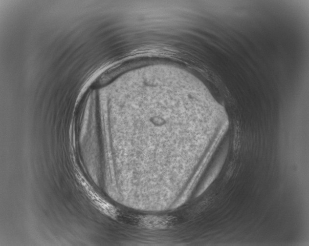 X0000085000796200704021332