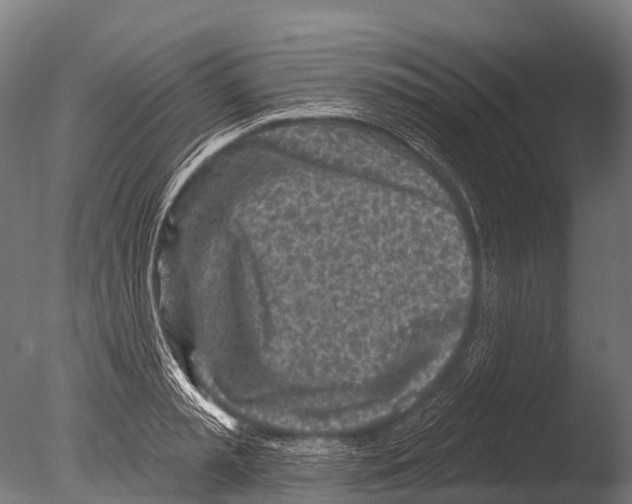 X0000085000797200704021332