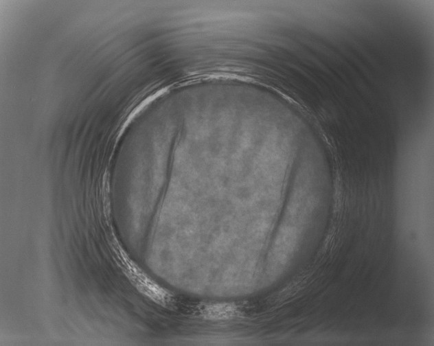 X0000085000798200704021332