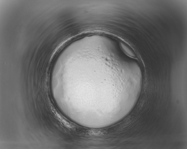 X0000085000799200704021332