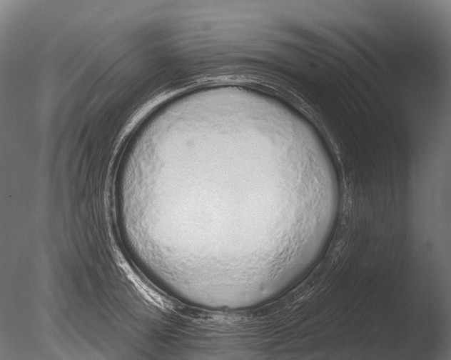 X0000085000803200704021332