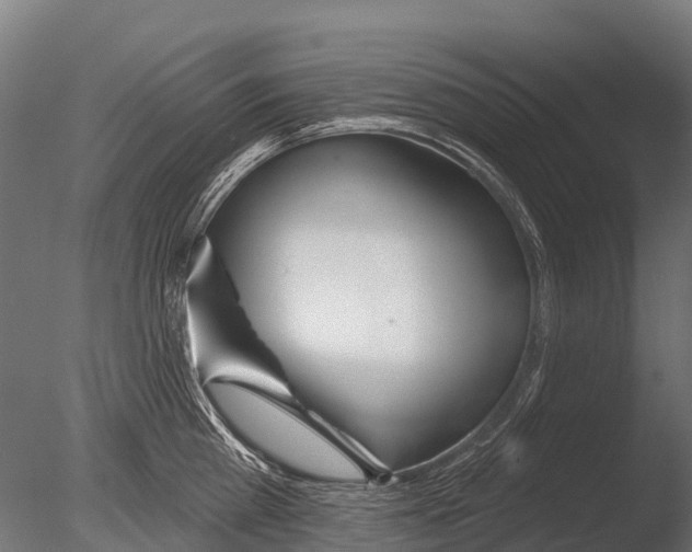 X0000085000809200704021332