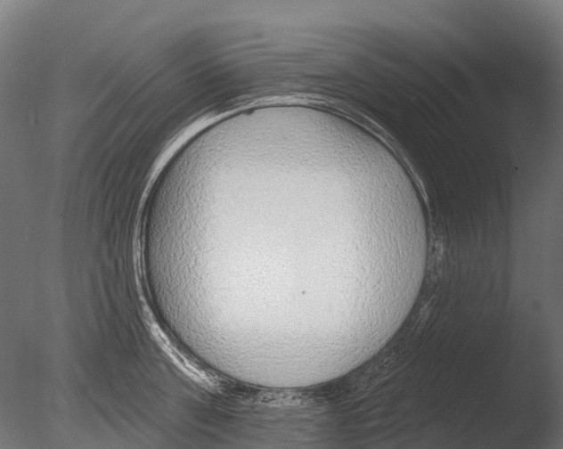 X0000085000811200704021332