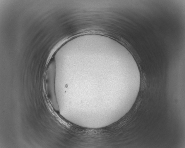 X0000085000812200704021332