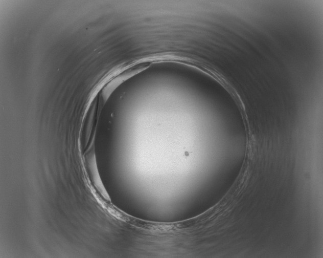 X0000085000813200704021332