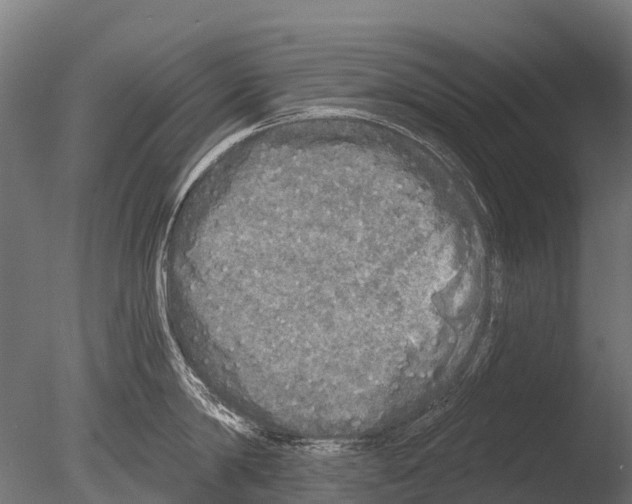 X0000085000814200704021332