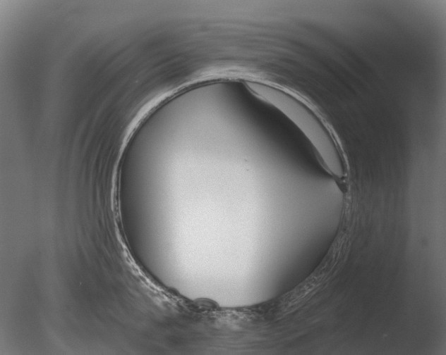 X0000085000815200704021332