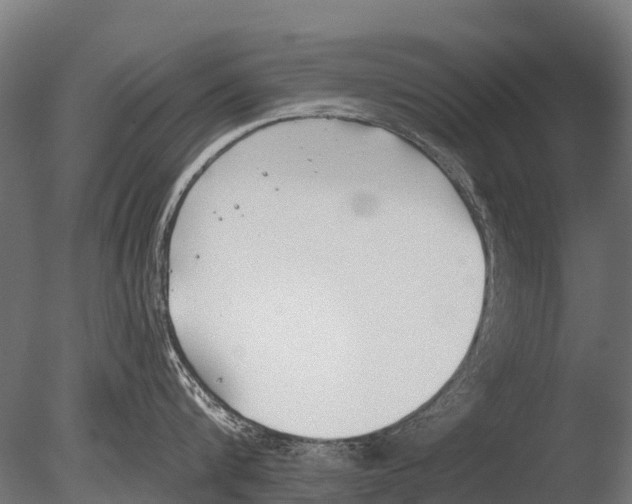 X0000085000816200704021332