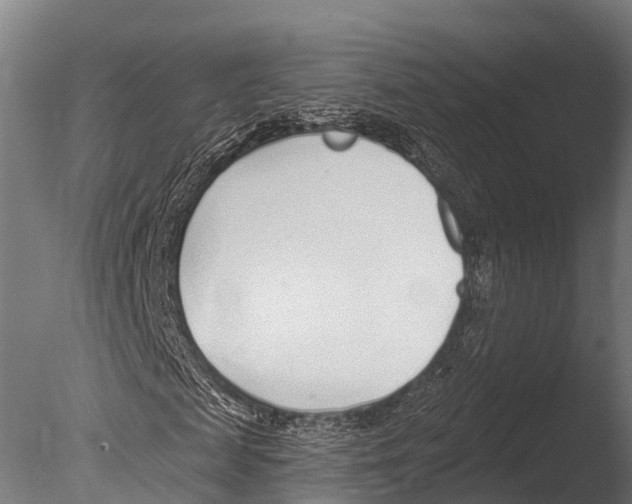 X0000085000817200704021331