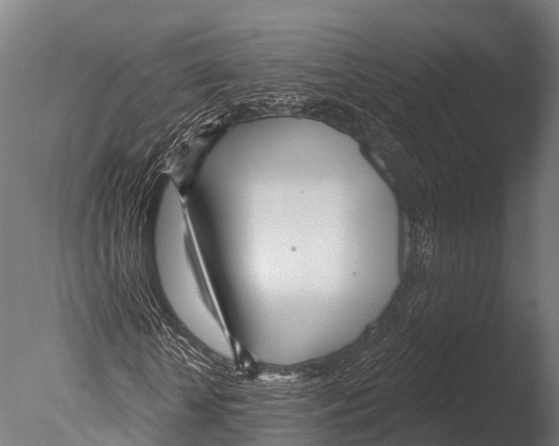 X0000085000818200704021331