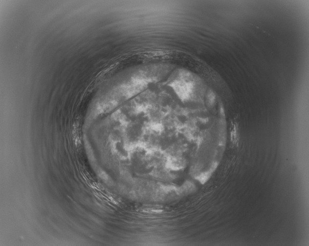 X0000085000819200704021331