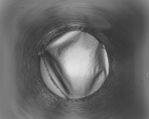 X0000085000821200704021331