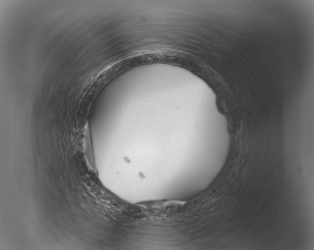 X0000085000822200704021331