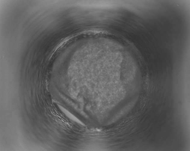 X0000085000823200704021331