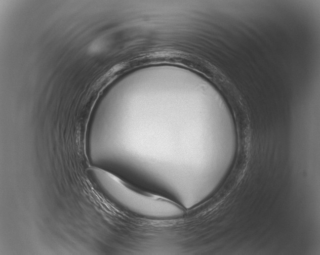 X0000085000825200704021331