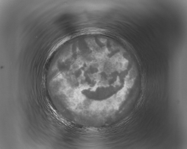 X0000085000827200704021331