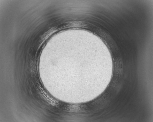 X0000085000828200704021331