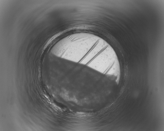 X0000085000829200704021331