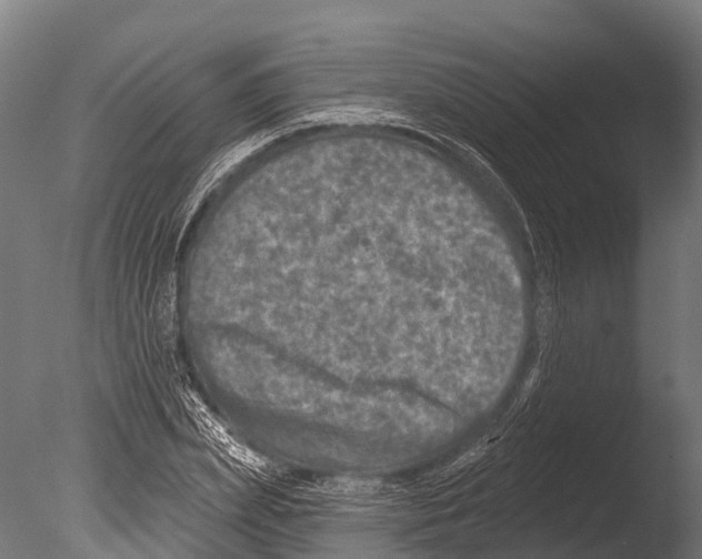 X0000085000831200704021331