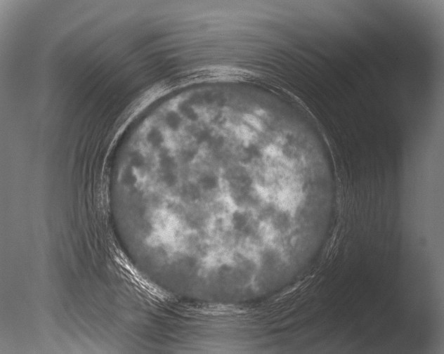 X0000085000835200704021331