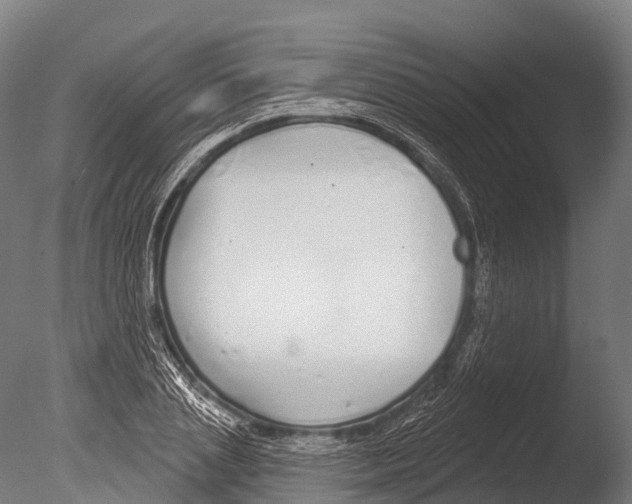 X0000085000837200704021331