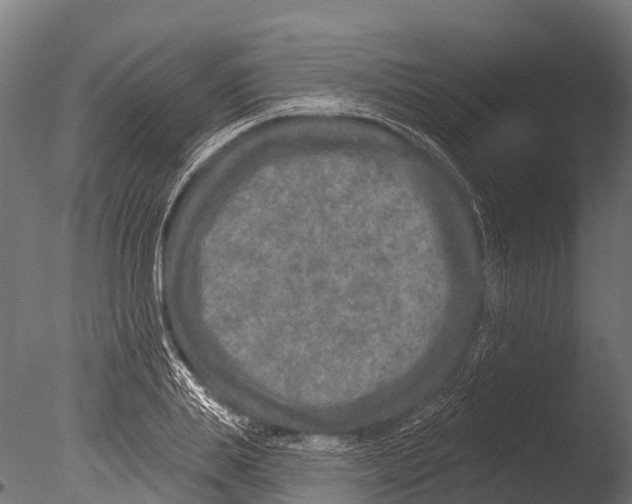 X0000085000839200704021331