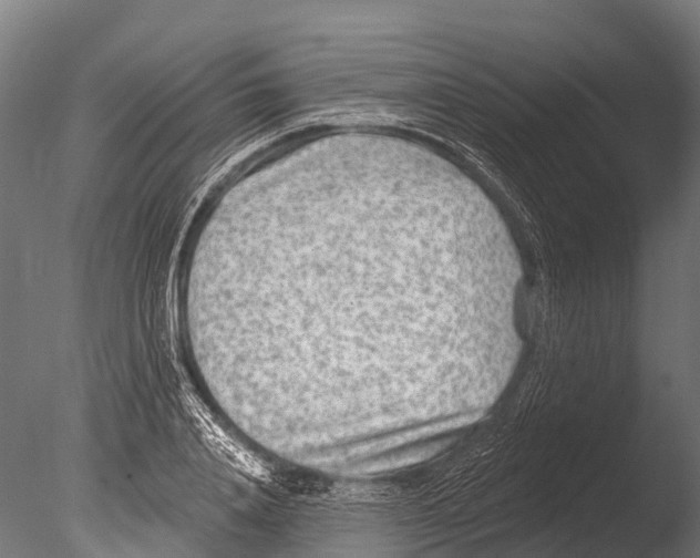 X0000085000840200704021331