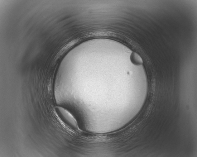 X0000085000841200704021331