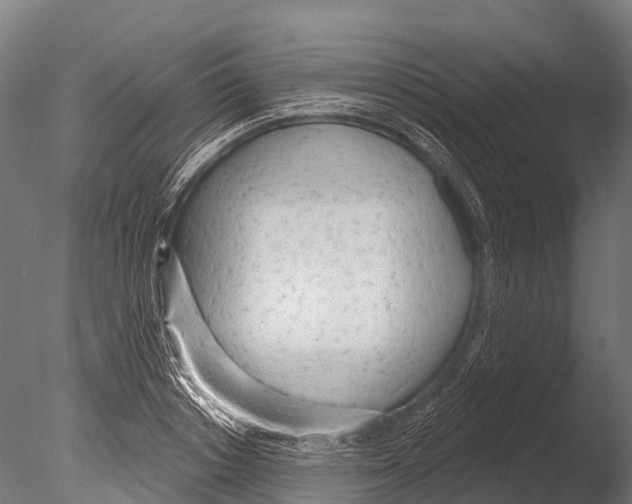 X0000085000842200704021331