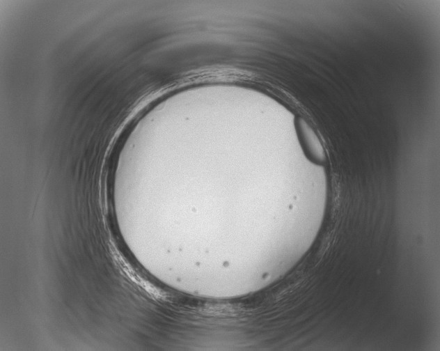 X0000085000843200704021331