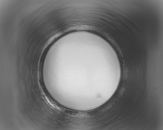 X0000085000845200704021331