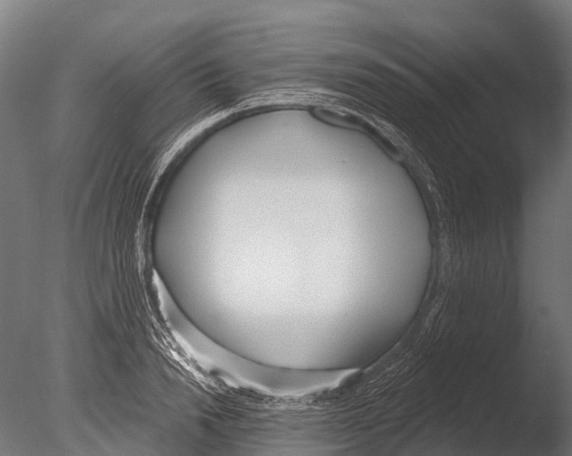 X0000085000846200704021331