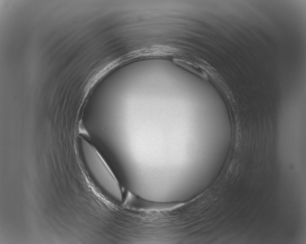 X0000085000850200704021332