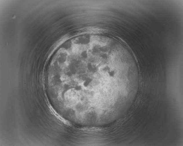 X0000085000851200704021332