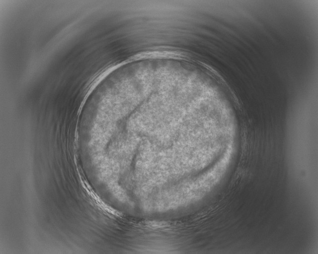 X0000085000852200704021332